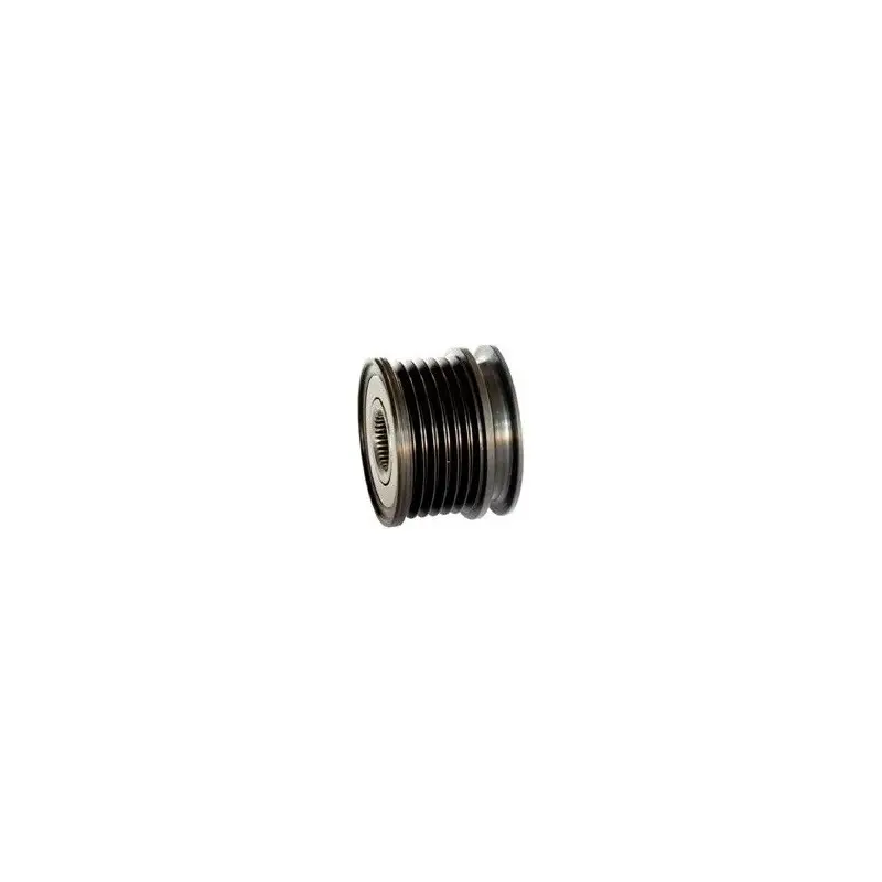 Poulie pour alternateur Bosch 0124325039 / 0124325046 / 0124325077 Solde