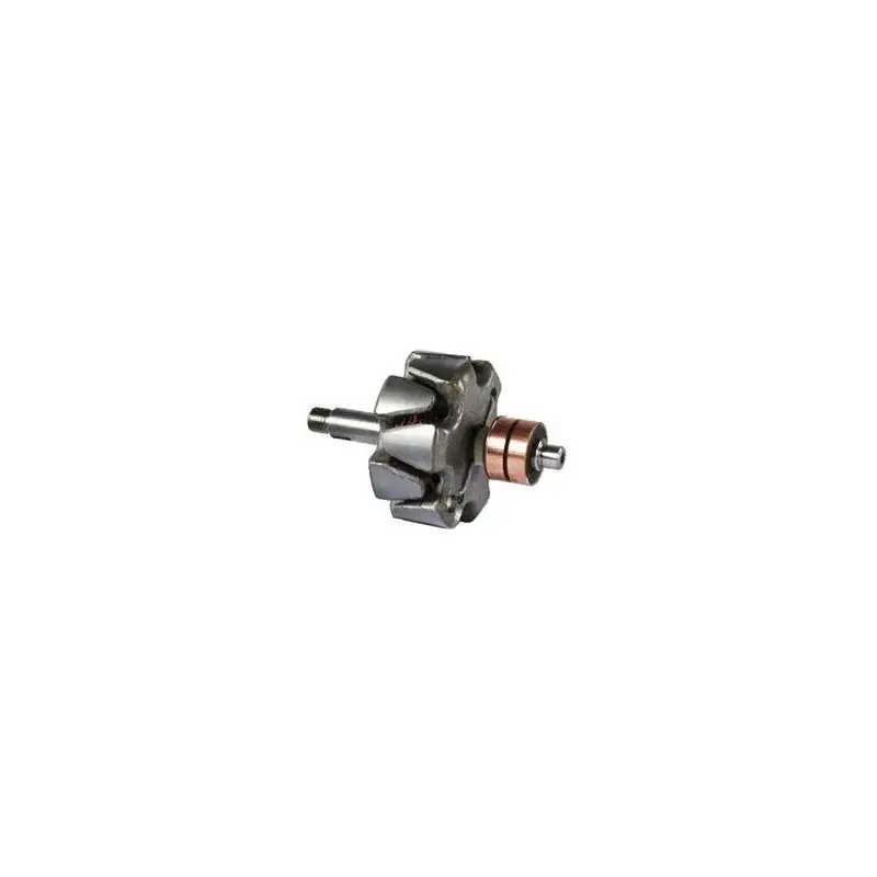 Rotor pour alternateur Bosch 0120400721 / 0120400893 / 0120400894 Commander Maintenant