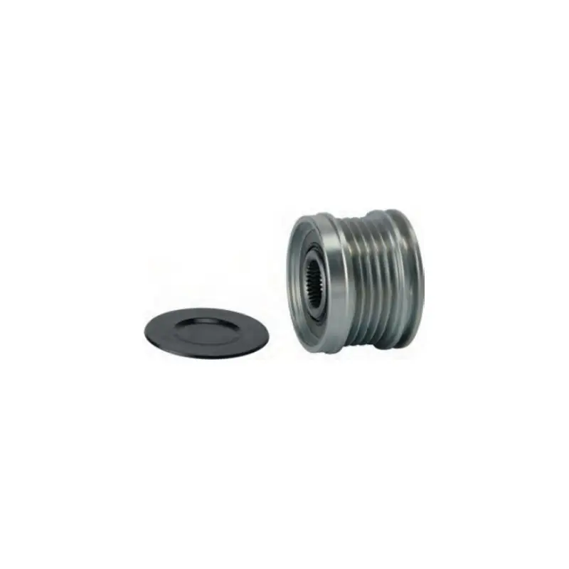 Expédié Aujourd’hui Poulie pour alternateur valéo 2543570C / TG15C056 / TG15C057 / TG15C121