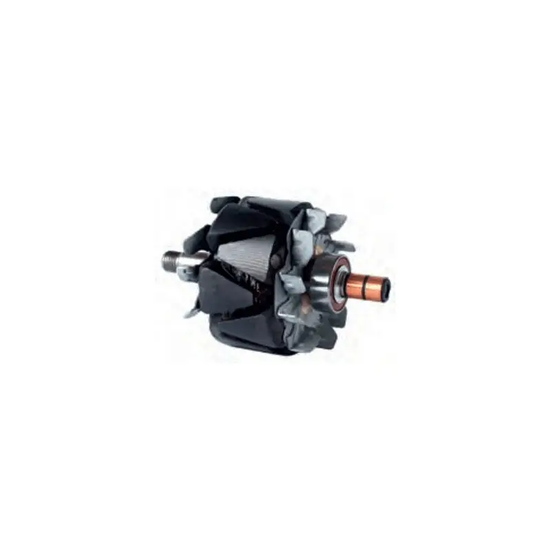 Remise Rotor pour alternateur Denso100211-6030 / 100211-6031 / 100211-6040 / 100211-6050