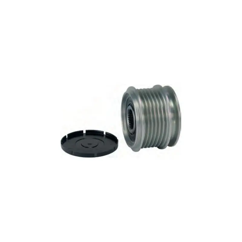 Poulie débrayable INA F-226804.04 / F-226804.5 / F-226804.6 pour alternateur Bosch Pas Cher