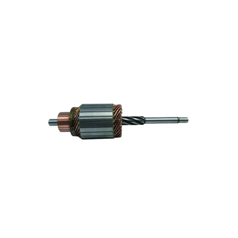 Dernière Chance Induit pour démarreur Delco remy 10455317 / 10455318 / 10455321