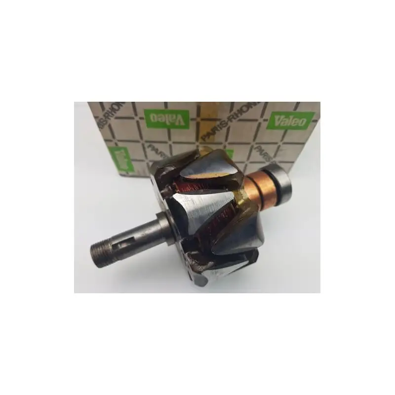 Rotor pour alternateur Paris rhone A13R73 / A13R85 / A13R87 Commander Maintenant