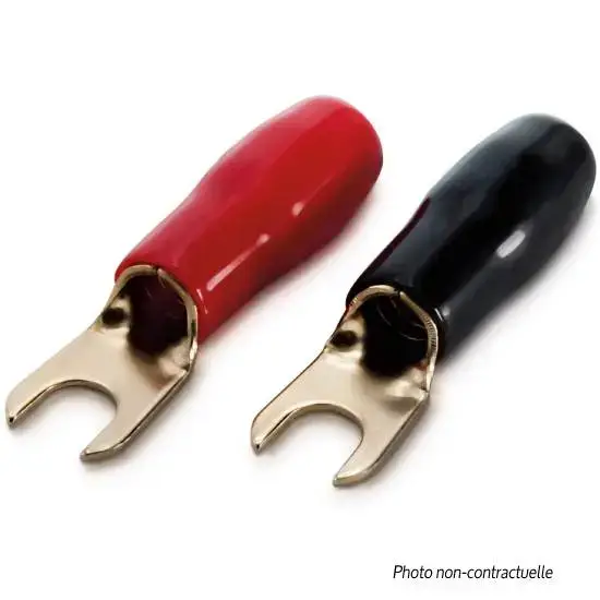 Paiement Sécurisé 8 cosses fourche 4MM – RDI