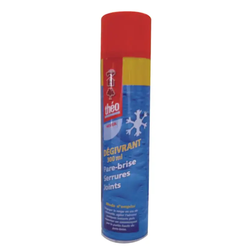 Bombe anti-givre 300ML – THEO Livraison Gratuite