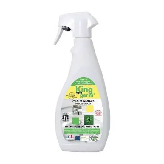 Commander Maintenant Nettoyant désinfectant KING FLASH 750ml
