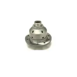 Solde Différentiel autobloquant QUAIFE QDF20Z pour pont Ford MTX75