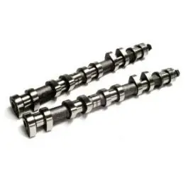 Arbre à cames CAT CAMS 300°/293° moteur F4R 830 pour RENAULT Clio III RS (sans déphasage de la poulie d'arbre à cames, nécessite la poulie réglable référence : 431341) Expédition Rapide