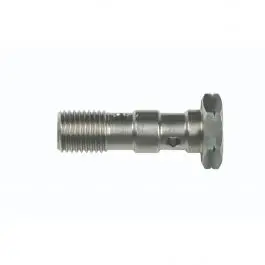 Prix Bas Vis Banjo GOODRIDGE M10 X 1.00 en Inox