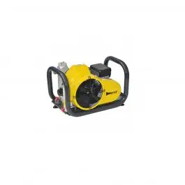 Top Vente Compresseur électrique PAOLI DPH220