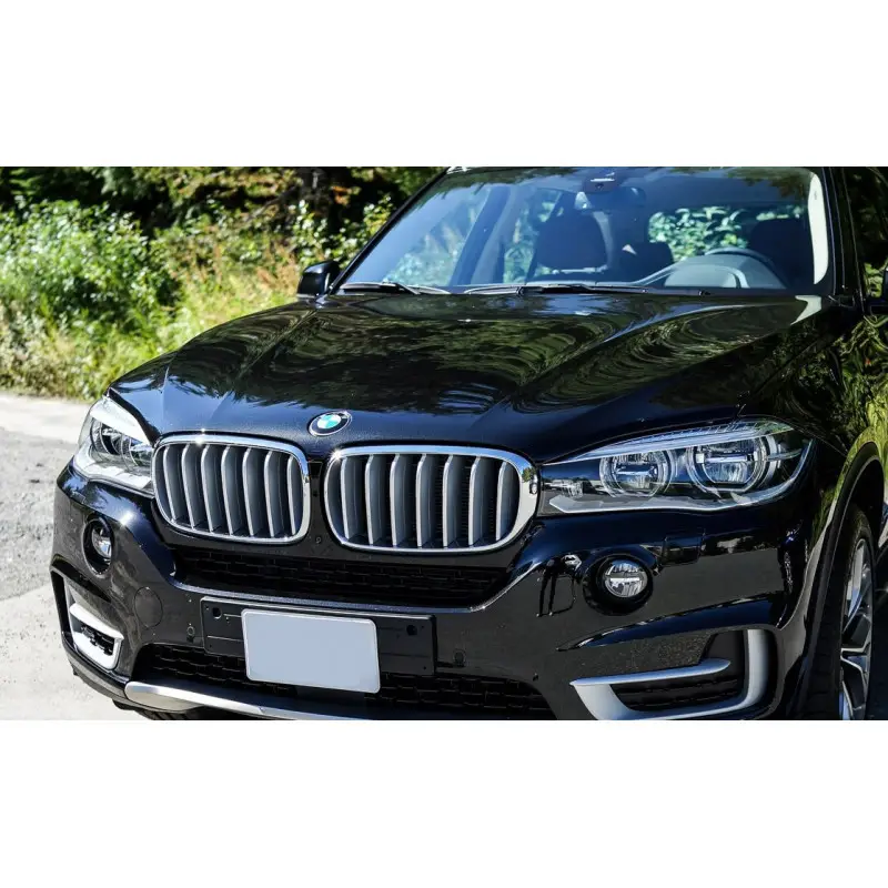 Grilles de calandre Titane pour BMW X5 F15 Vente Flash