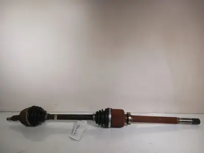 TRANSMISSION AVD Seulement Aujourd’hui