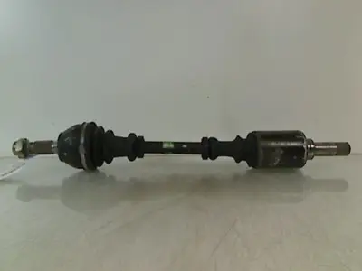 Nouveauté TRANSMISSION AVG