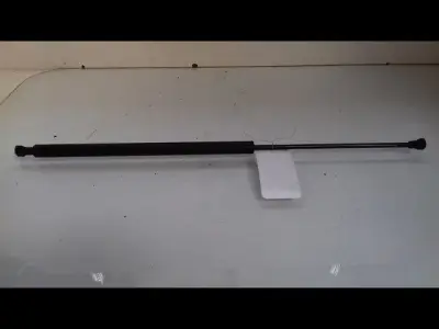 VERIN D HAYON Dernière Chance